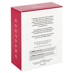 Hallmark Disney Encanto We Don't Talk About Bruno Musical Ornament With Light -Hallmark Encanto Brunos Door Keepsake Ornament 2499QXD6639 05