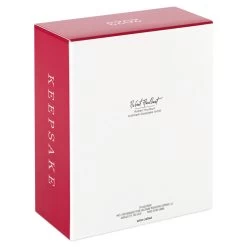 Hallmark Star Wars: The Mandalorian™ The Mandalorian's N-1 Starfighter™ Ornament -Hallmark Mandalorian Starfighter Keepsake Ornament 2999QXI7119 05