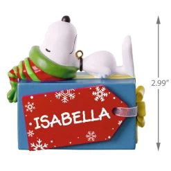 Peanuts® Snoopy Christmas Present Personalized Ornament -Hallmark Peanuts Snoopy Christmas Present Personalized Ornament 2499QHE1923B1 03