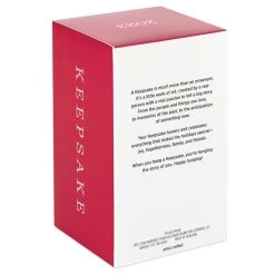 Hallmark Disney The Sword In The Stone 60th Anniversary Becoming King Arthur Ornament -Hallmark The Sword in the Stone Wart Keepsake Ornament 1999QXD6659 05